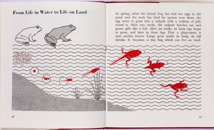 A new life begins, London: Max Parrish, 1961