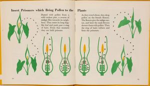 The wonder world of strange plants, London: Max Parrish, 1956