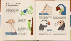 The wonder world of birds, London: Max Parrish, 1953