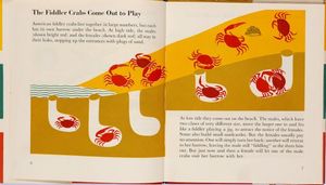 The wonder world of the seashore, London: Max Parrish, 1954