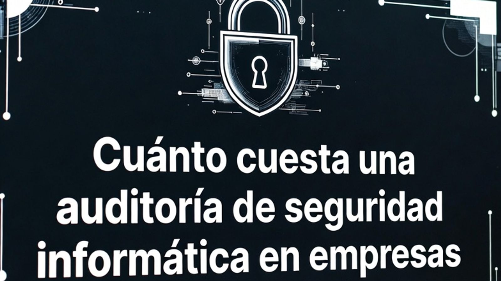 Imagen Cuánto cuesta una Auditoría de Seguridad Informática para Empresas