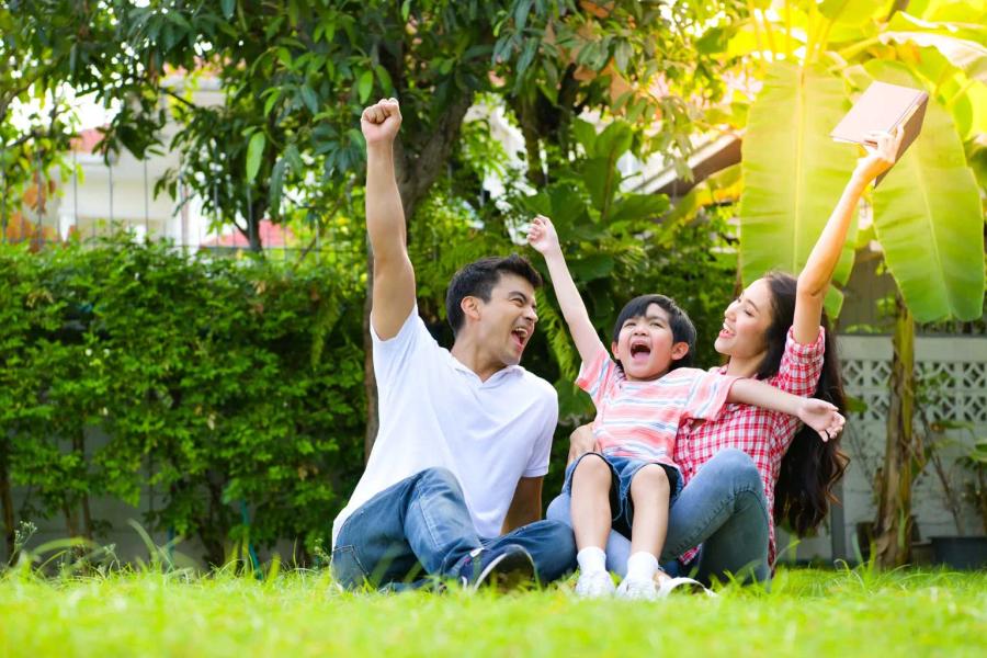 5 Tips for Maintaining a Pest-Free Yard with Organic Solutions