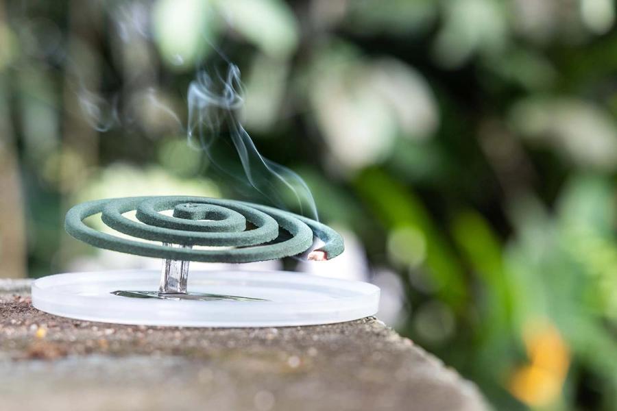 The Most Effective Way to Get Rid of Mosquitoes Naturally