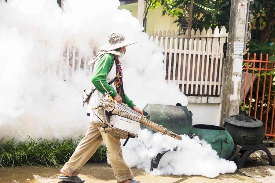 What is the Hardest Pests to Get Rid of and How to Handle Them Naturally