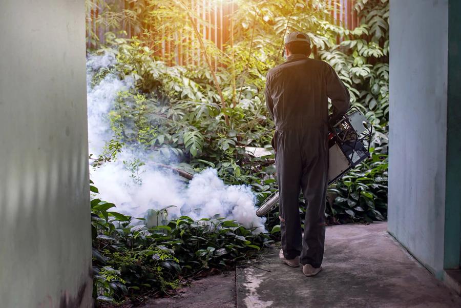 Top 5 Signs You Need Mosquito Services in Your Area