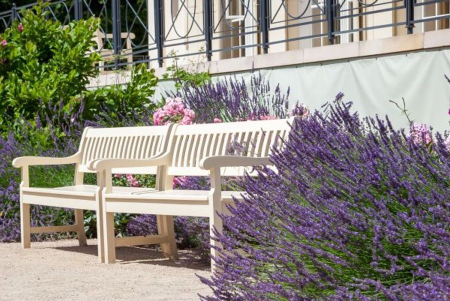 Using Strategic Landscaping to Keep Pests Out of the Yard