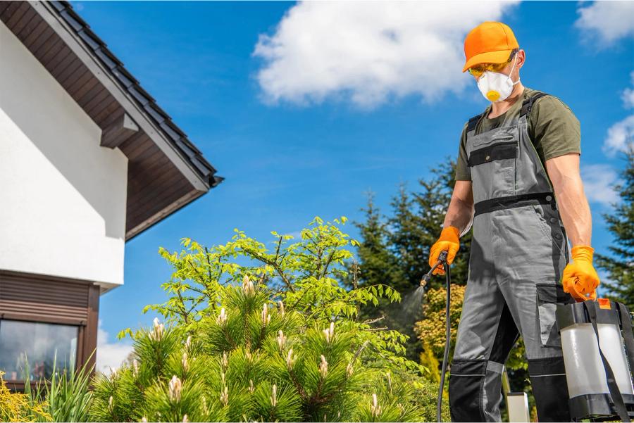 Why Organic Tick & Mosquito Control is Essential for Your Cape Cod Home