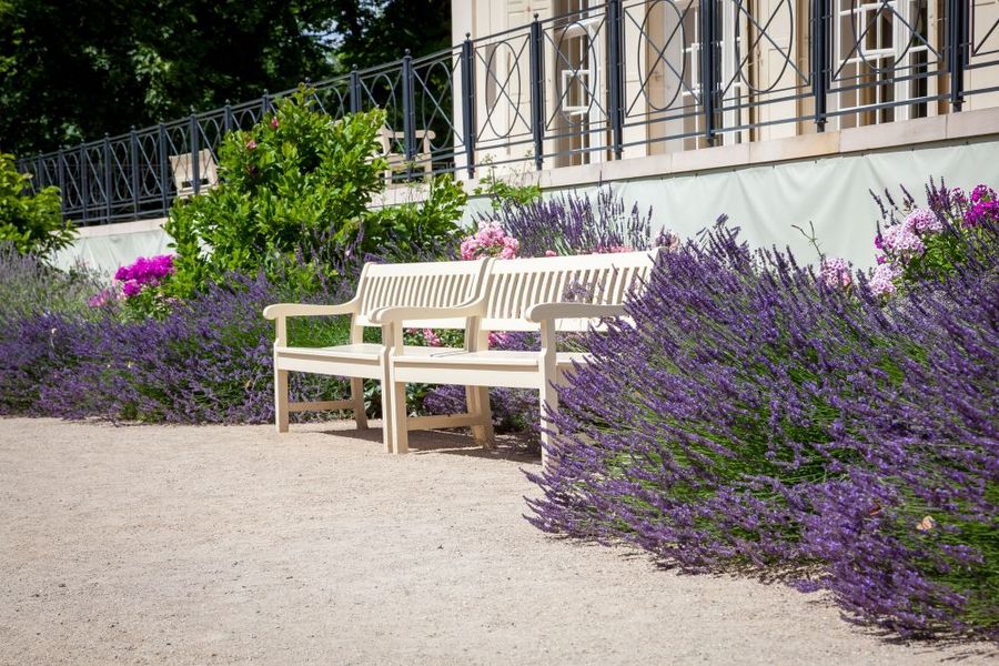 Using Strategic Landscaping to Keep Pests Out of the Yard