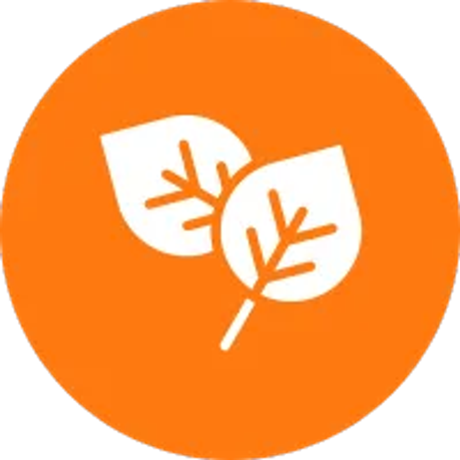 Organic Perimeter Pest Control