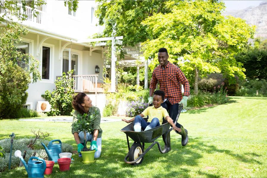 The Benefits of Eco-Friendly Pest Control for Families and Pets