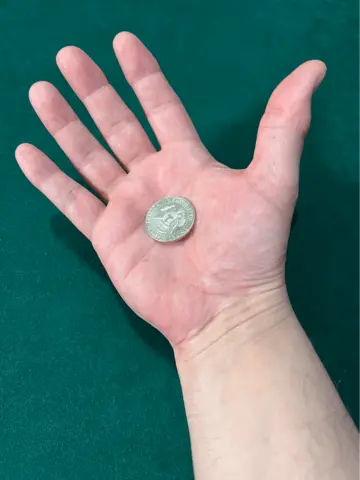 classic palm