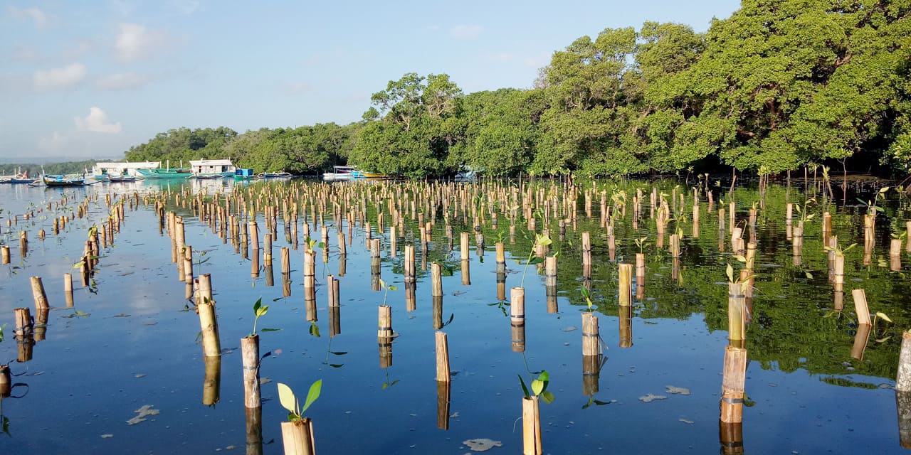 pt-pertamina-x-flipmas-1