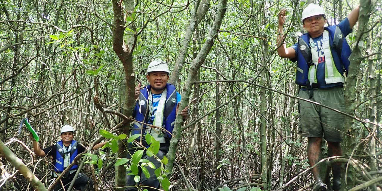 pp-mero-foundation-dan-mangrove-institute-1