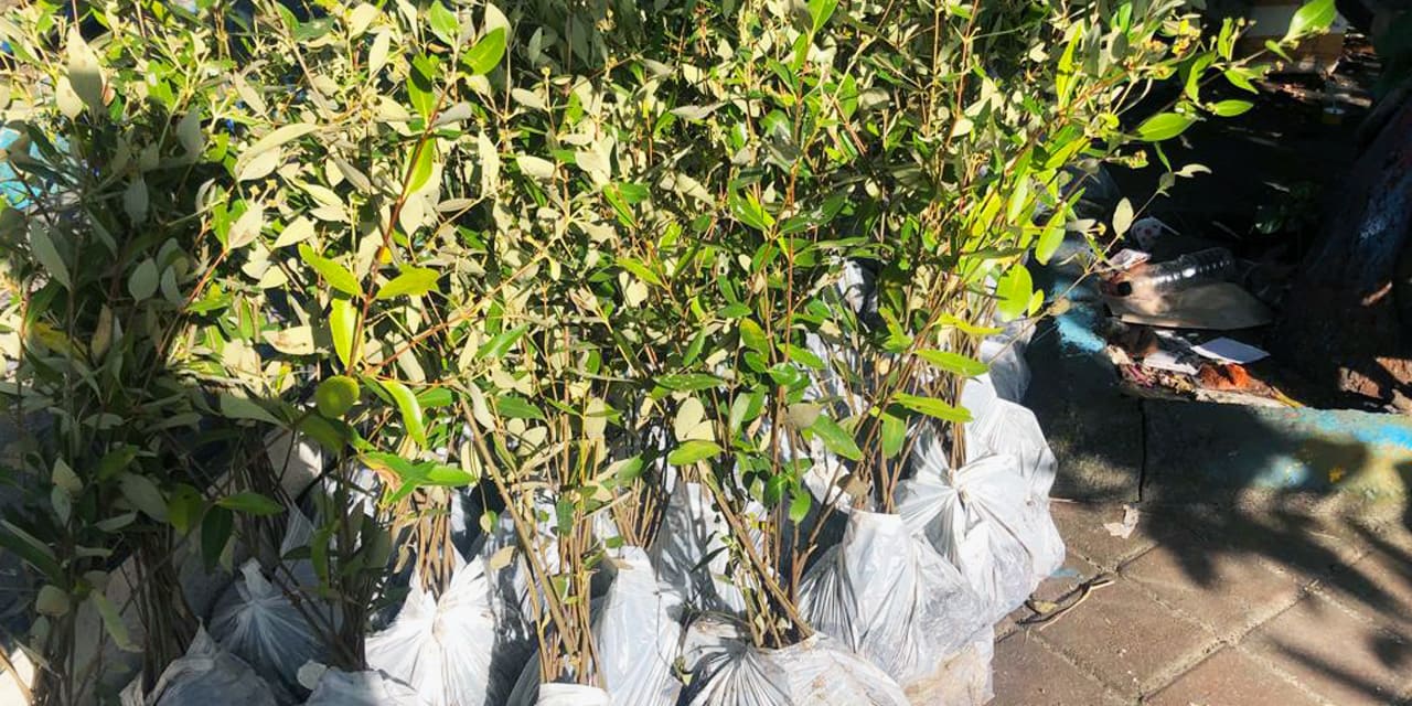 amazon-web-services-5