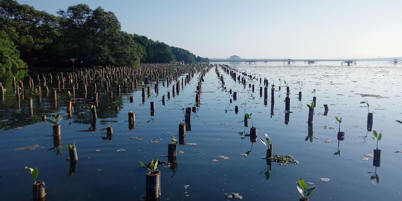 pt-pertamina-x-flipmas-4