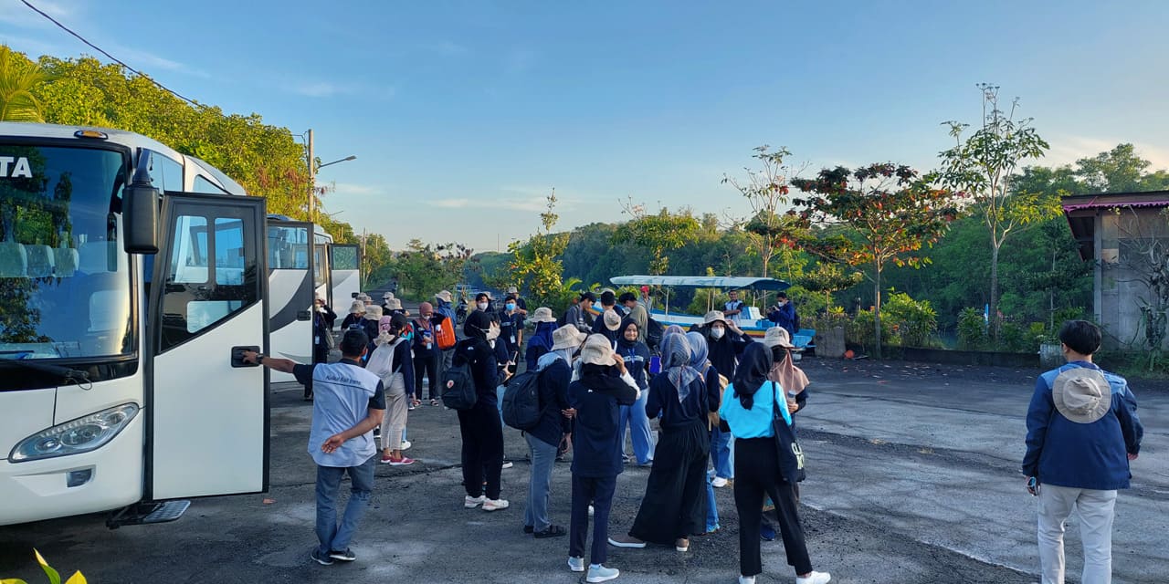 mangrove-nusantara-2