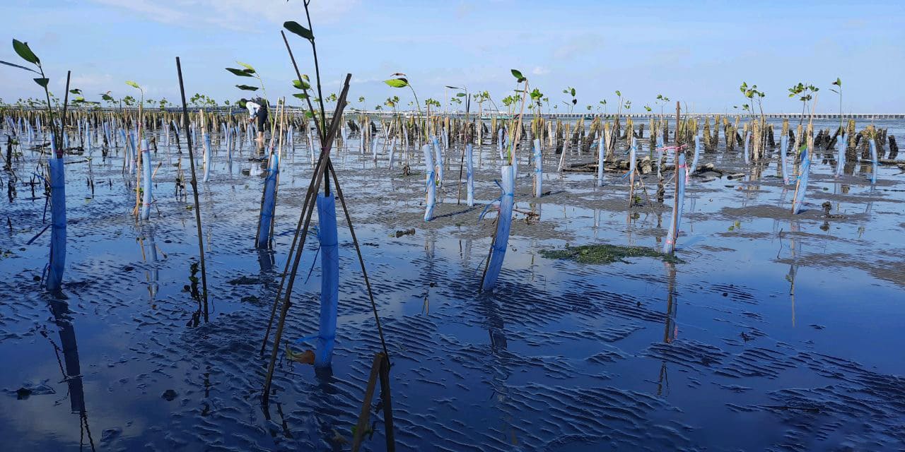 pt-pertamina-dppu-ngurah-rai-bali-5