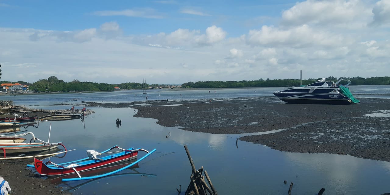 lindungi-hutan-x-tokopedia-2