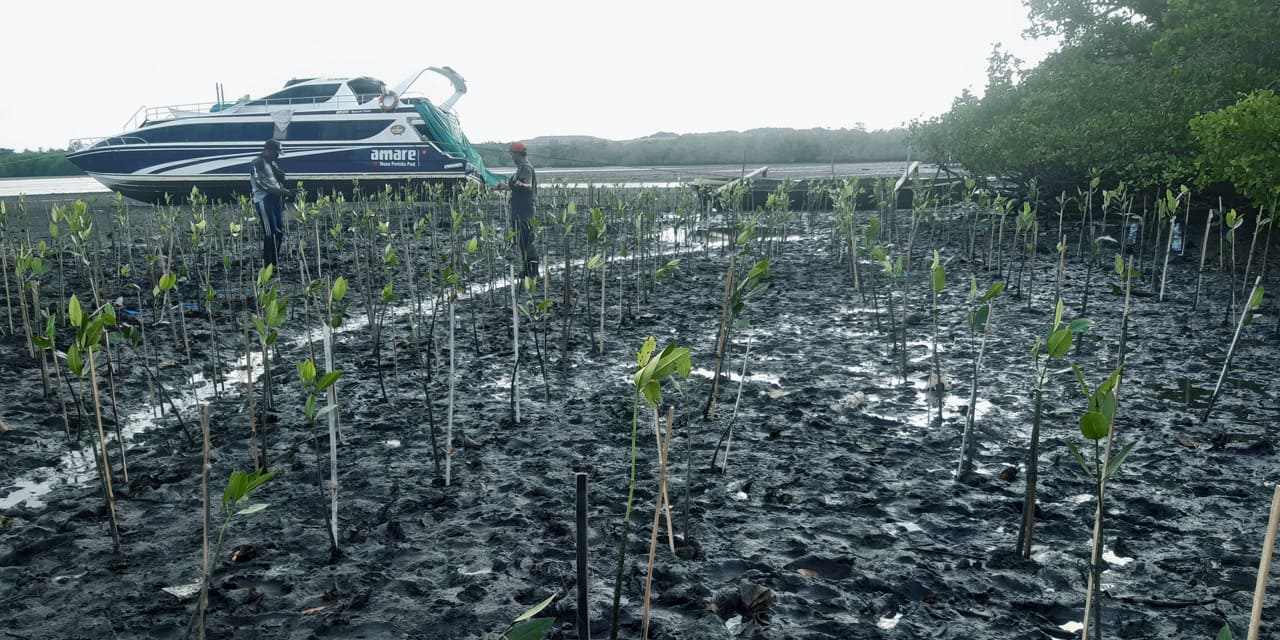 lindungi-hutan-x-tokopedia-3