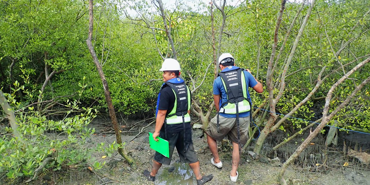 pp-mero-foundation-dan-mangrove-institute-4