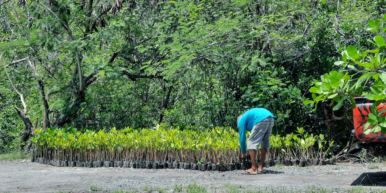 simbar-segara-x-pelindo-4