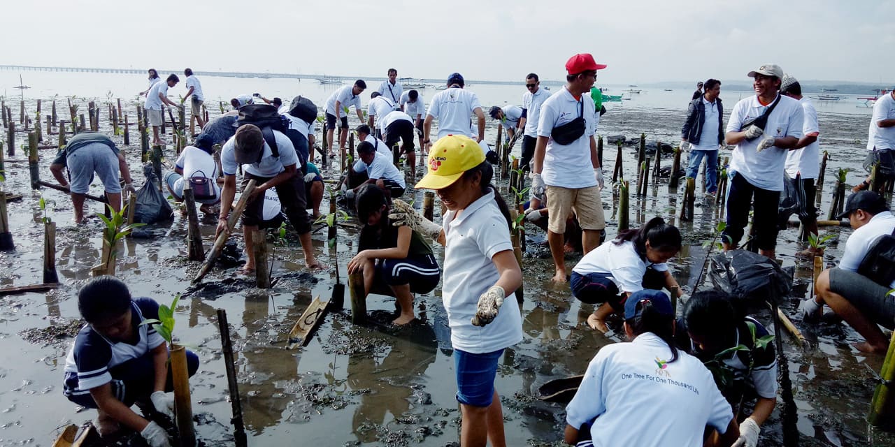 pt-pertamina-x-flipmas-3