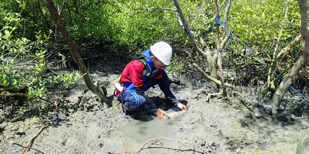 pp-mero-foundation-dan-mangrove-institute-5