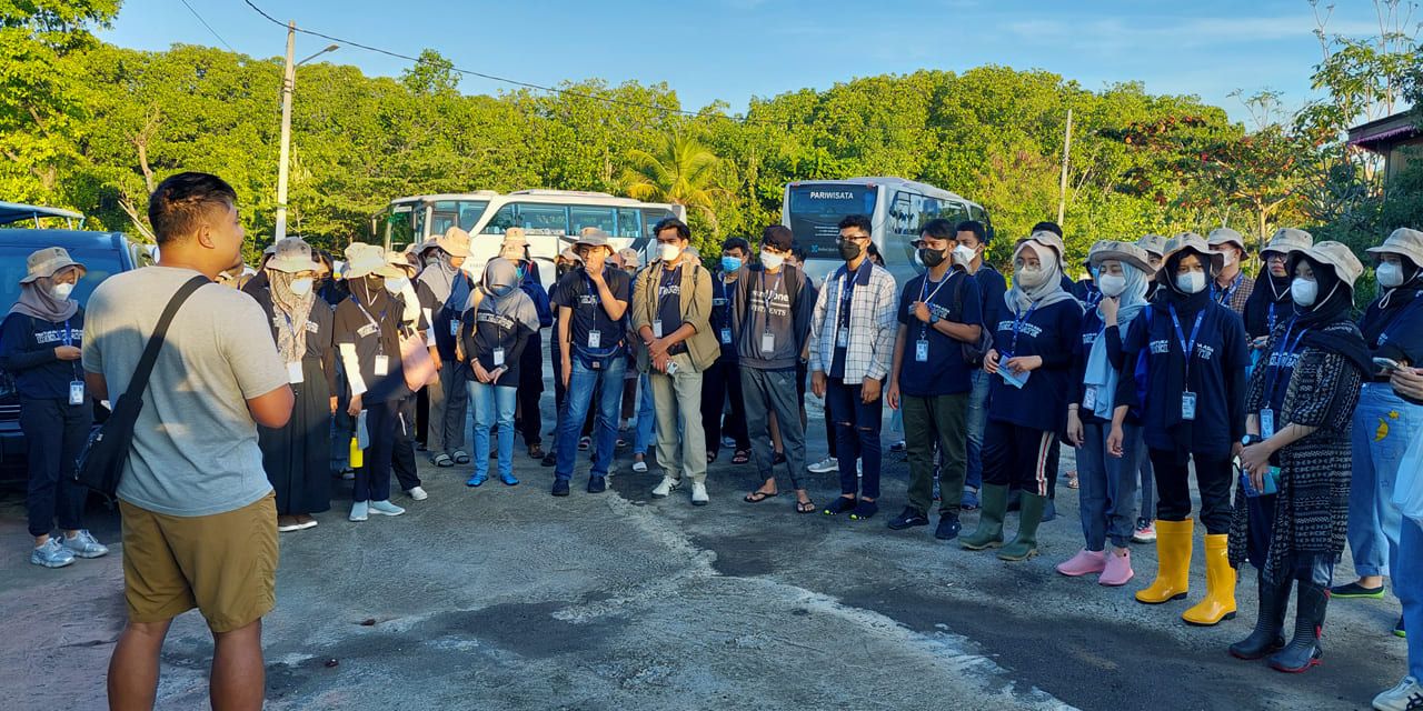 mangrove-nusantara-1