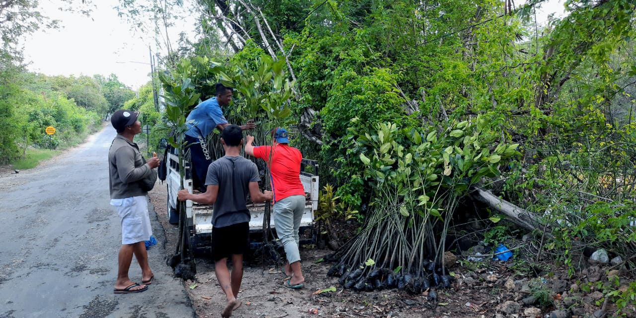 kub-segara-guna-batu-lumbang-3