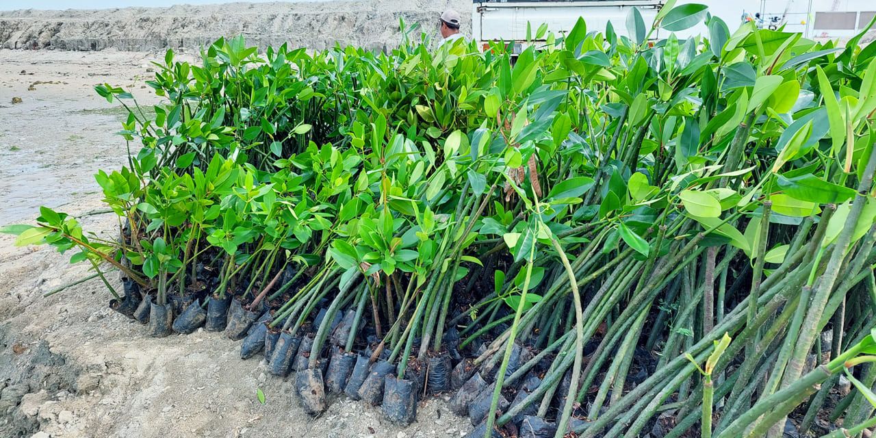 pt-jasa-marga-bali-tol-3-1