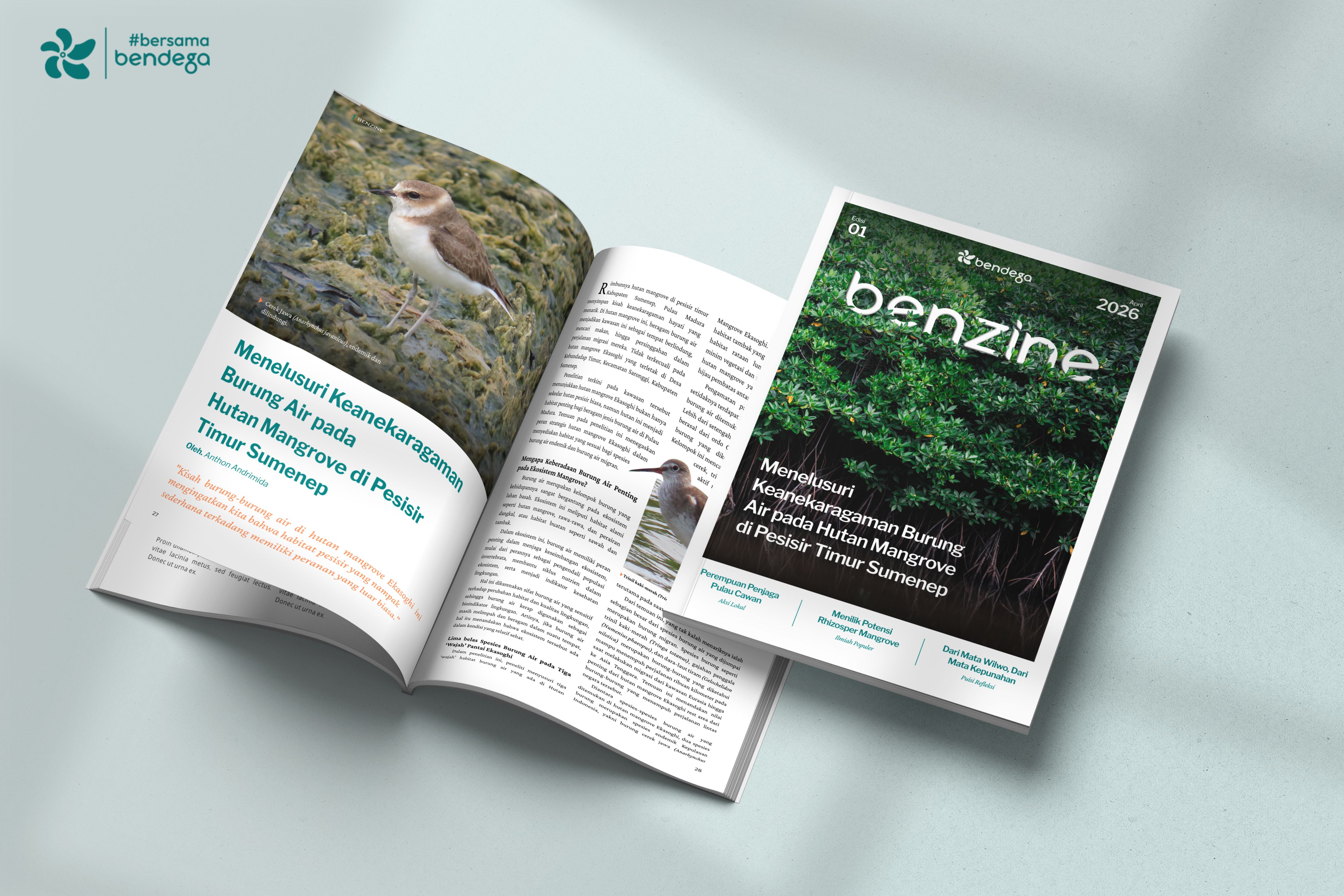 Benzine Publication Announcement