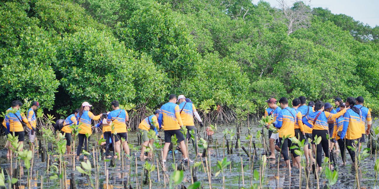 bfi-finance-dan-lindungi-hutan-4