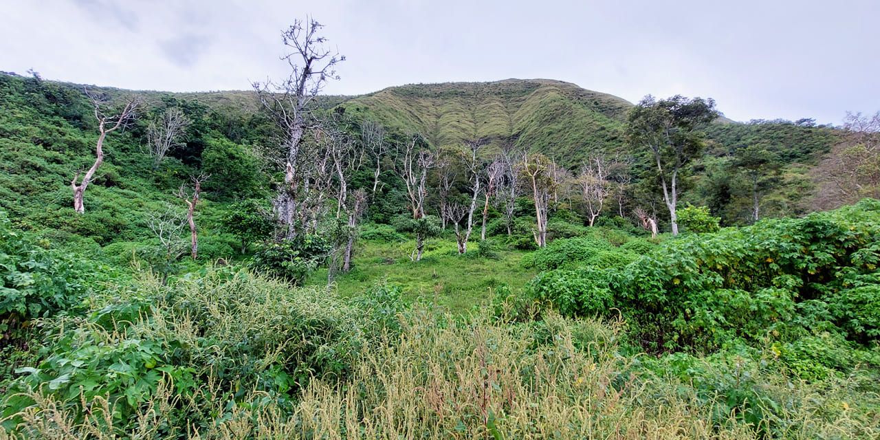 benih-baikcom-dan-bursa-efek-indonesia-1