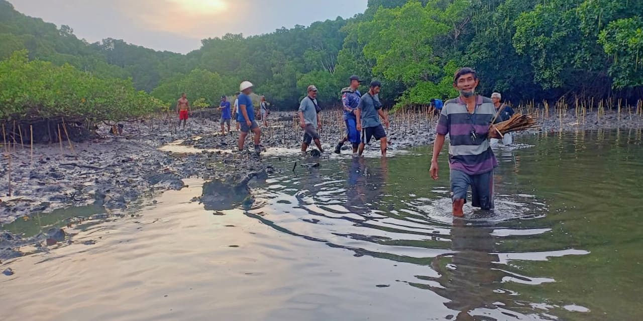 padat-karya-mangrove-kkp-5