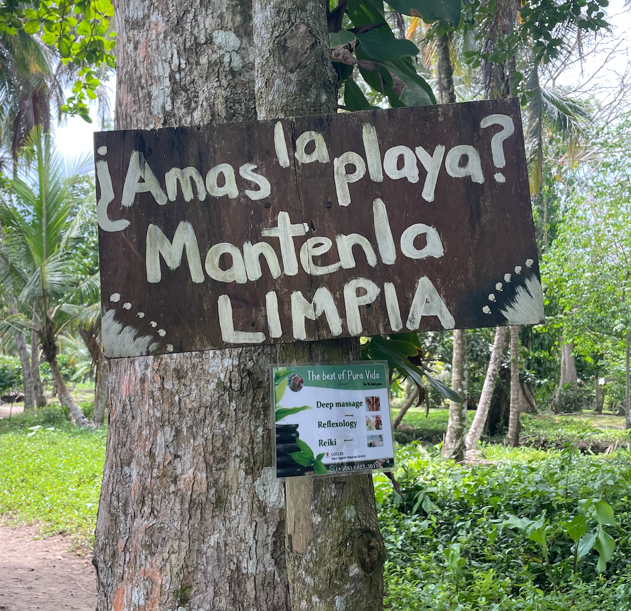 Amas la Playa?