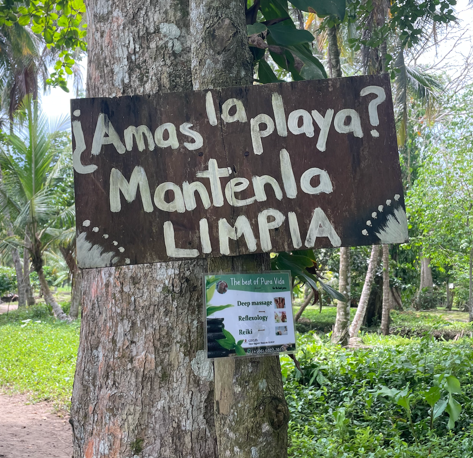 Amas la Playa?