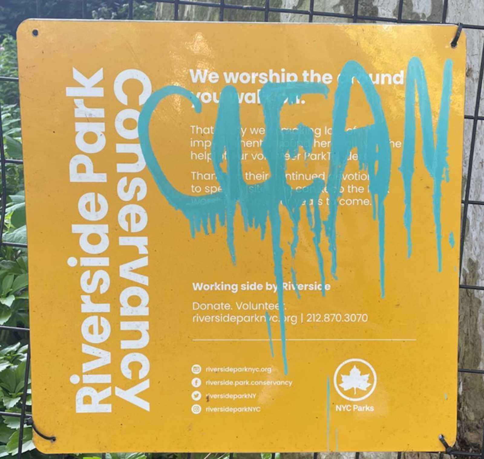 Clean (Riverside Parks Conservancy)