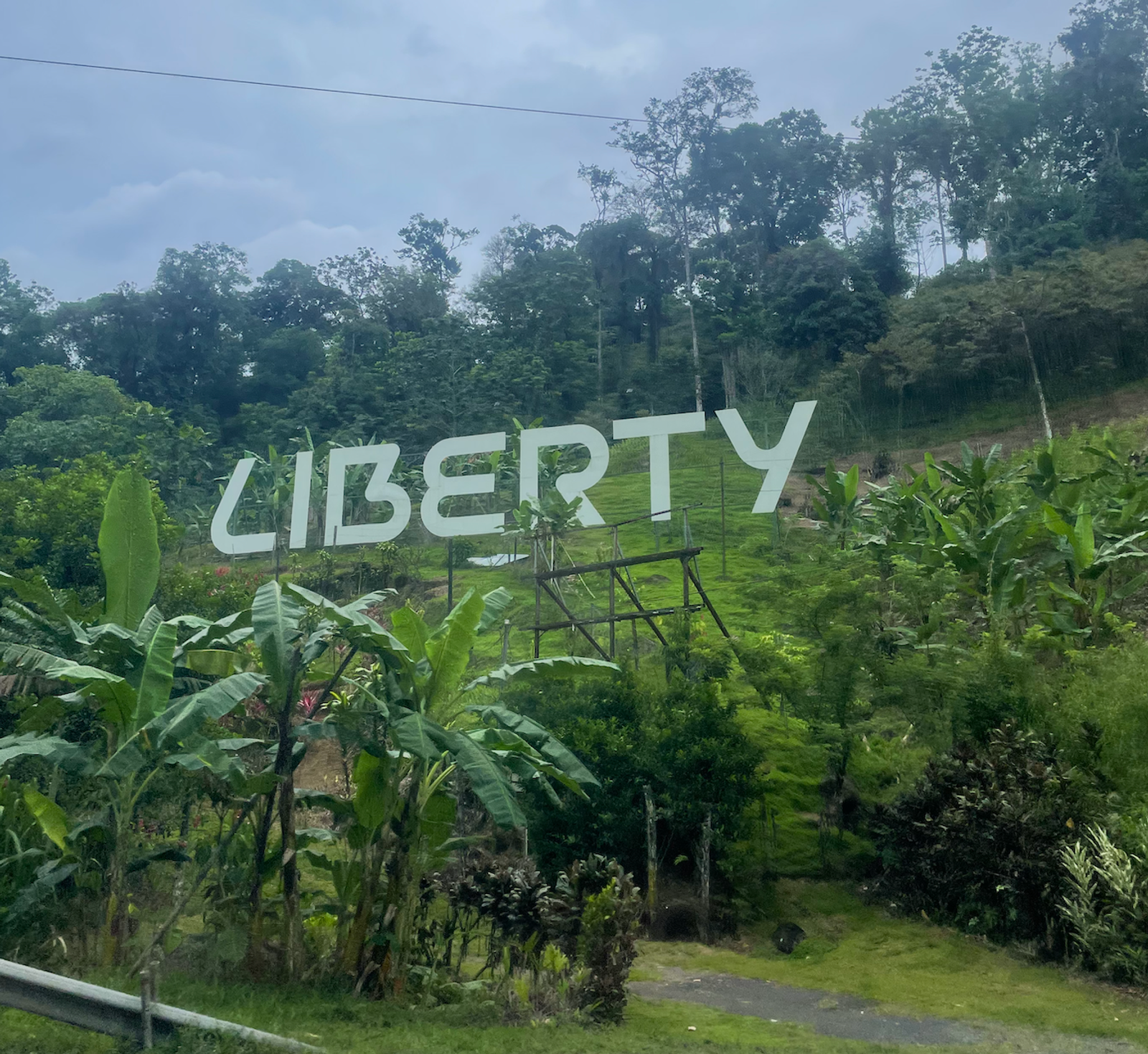 Liberty Logo