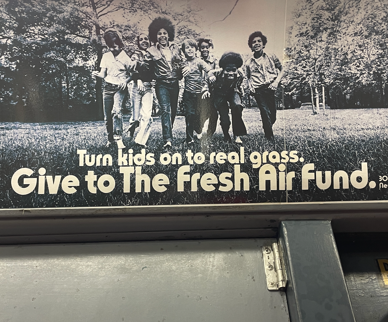 Turn kids on to real grass.