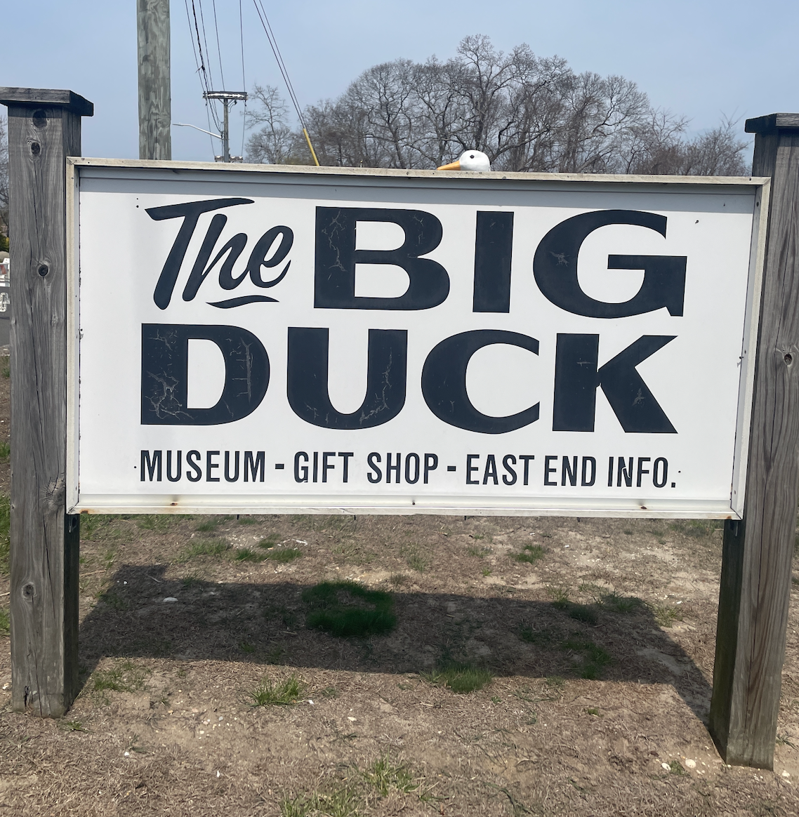The Big Duck