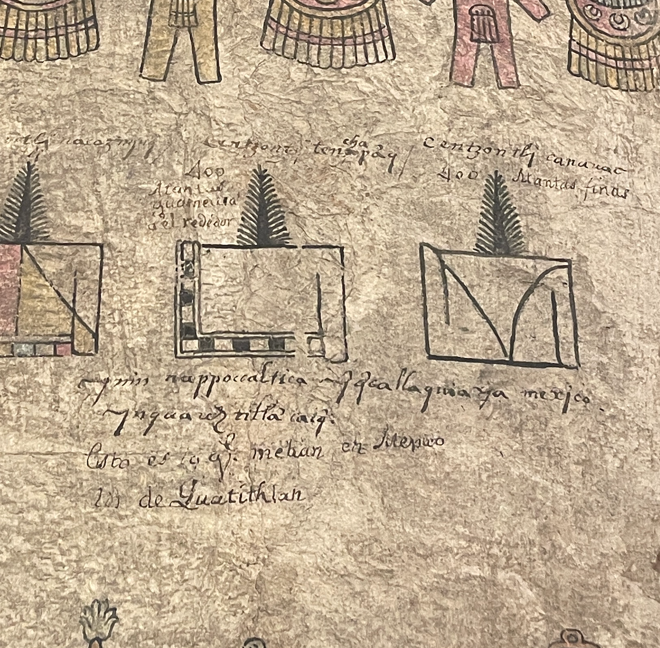 Museum Text