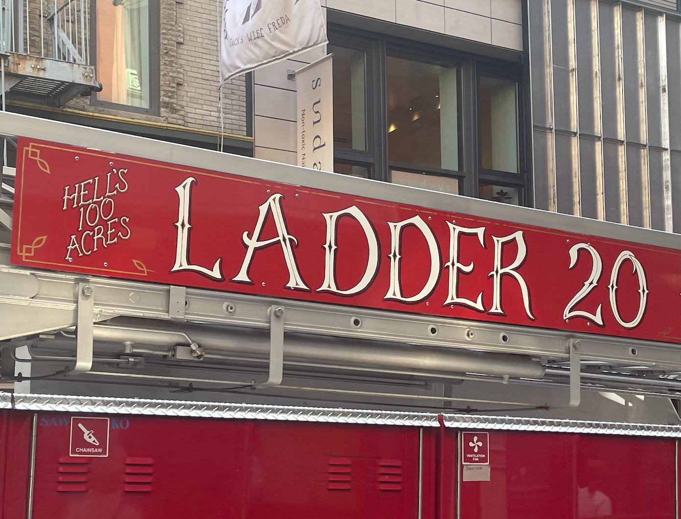 Ladder 20