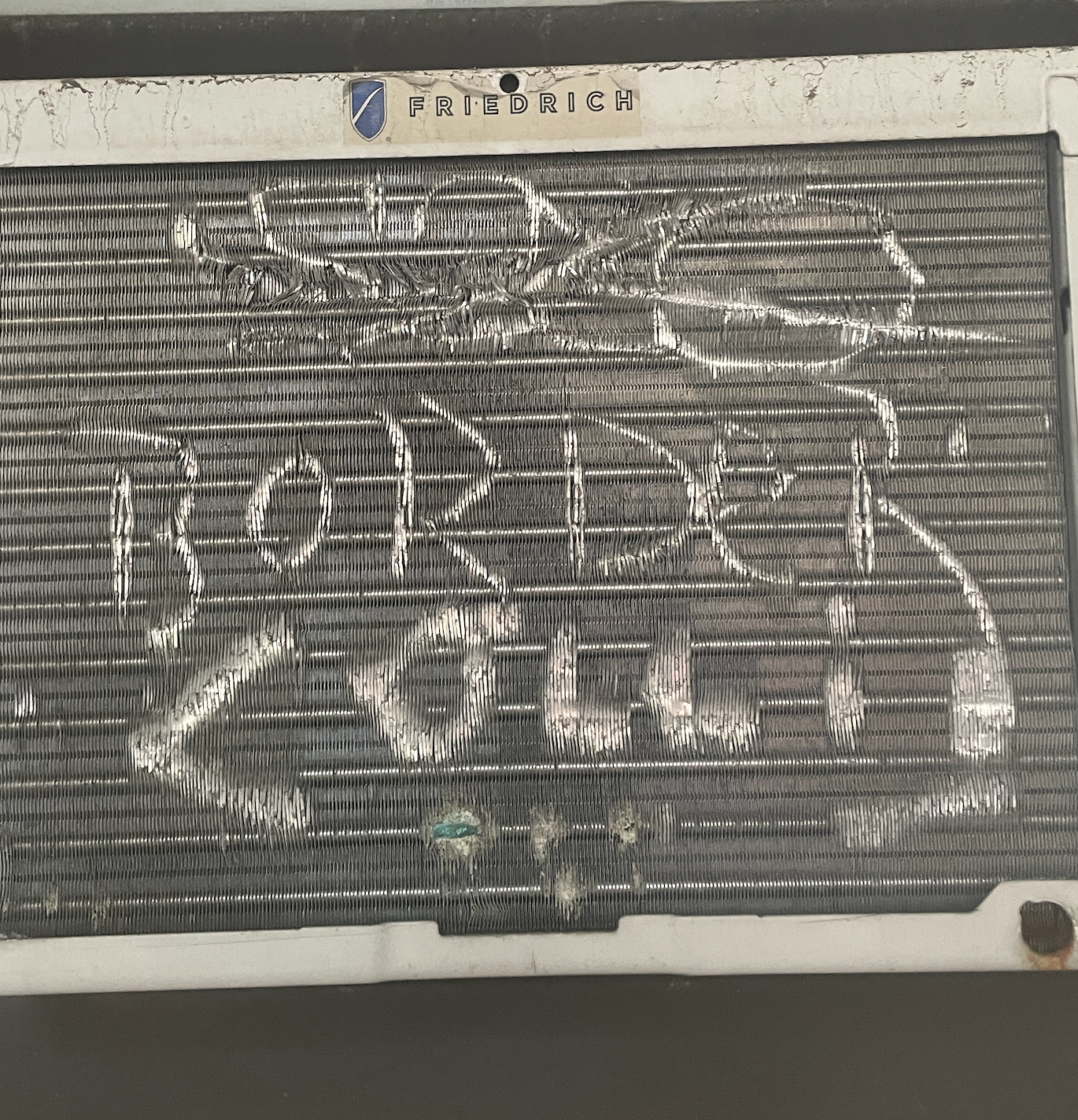 Border Colli