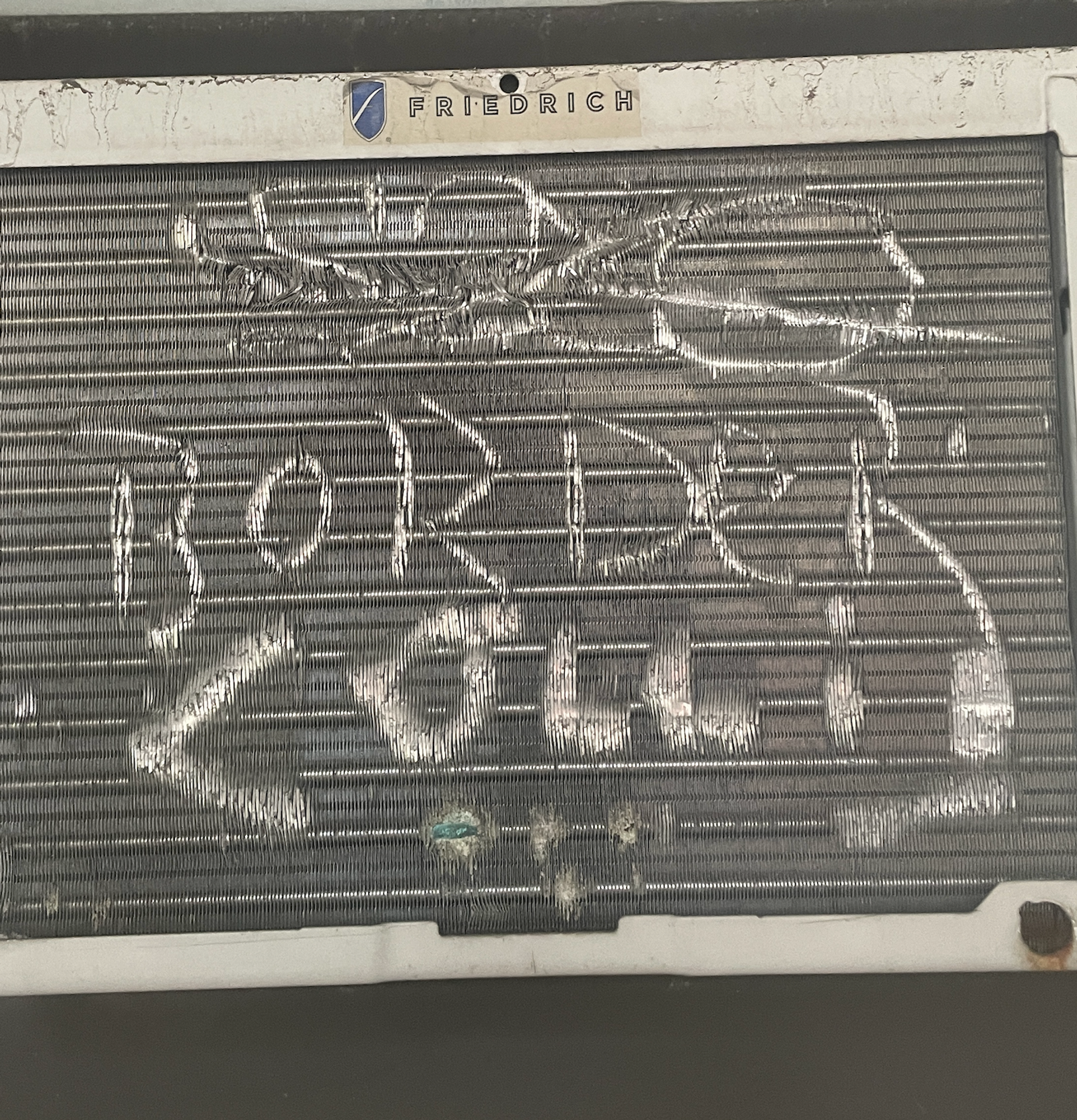 Border Colli