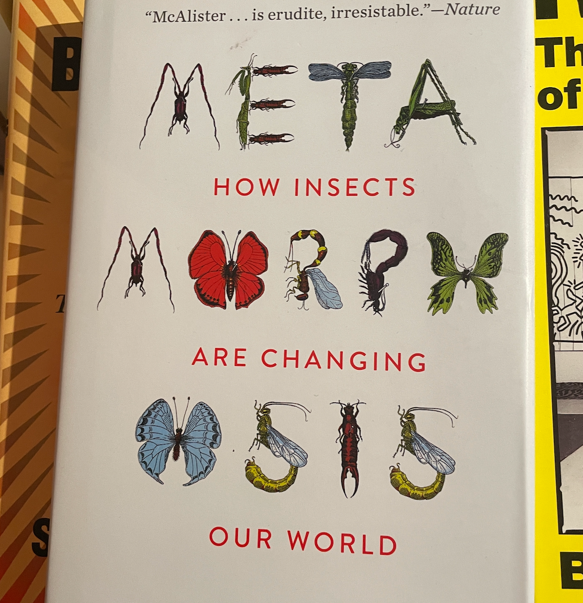 Metamorphosis