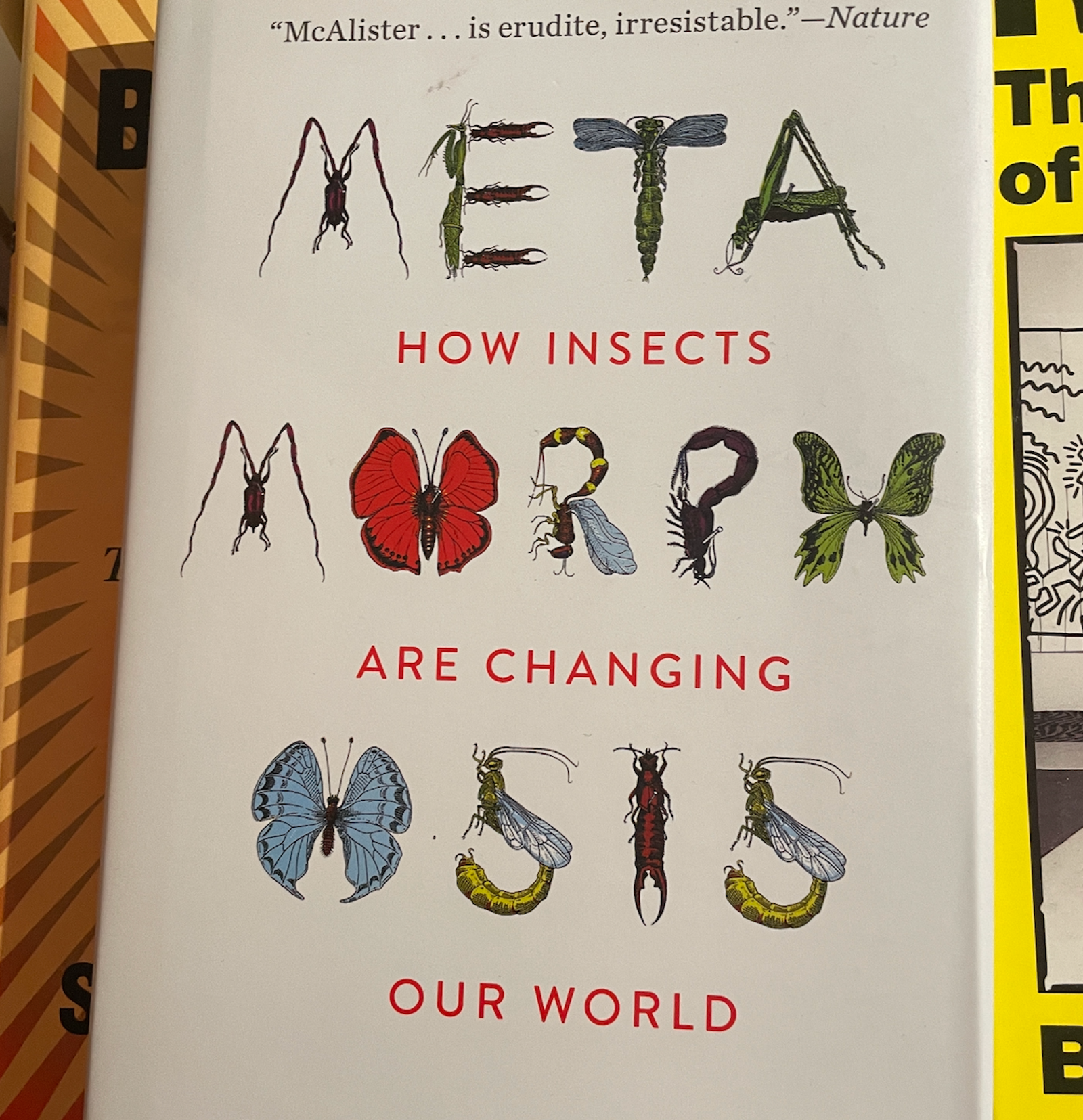 Metamorphosis