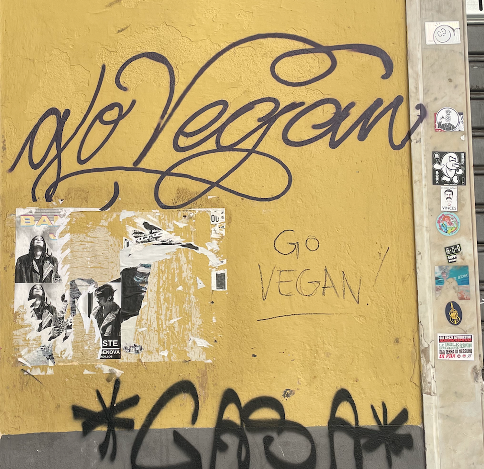Go Vegan Graffiti