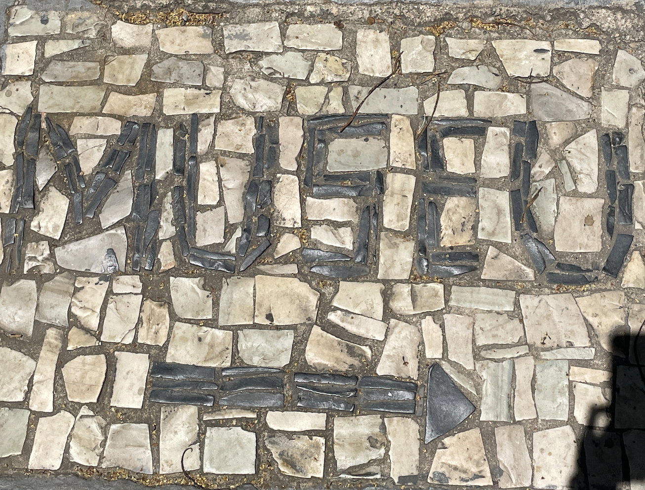Museu