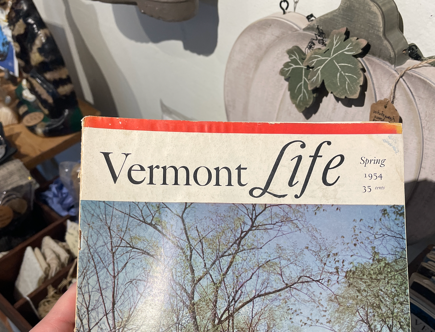 Vermont Life