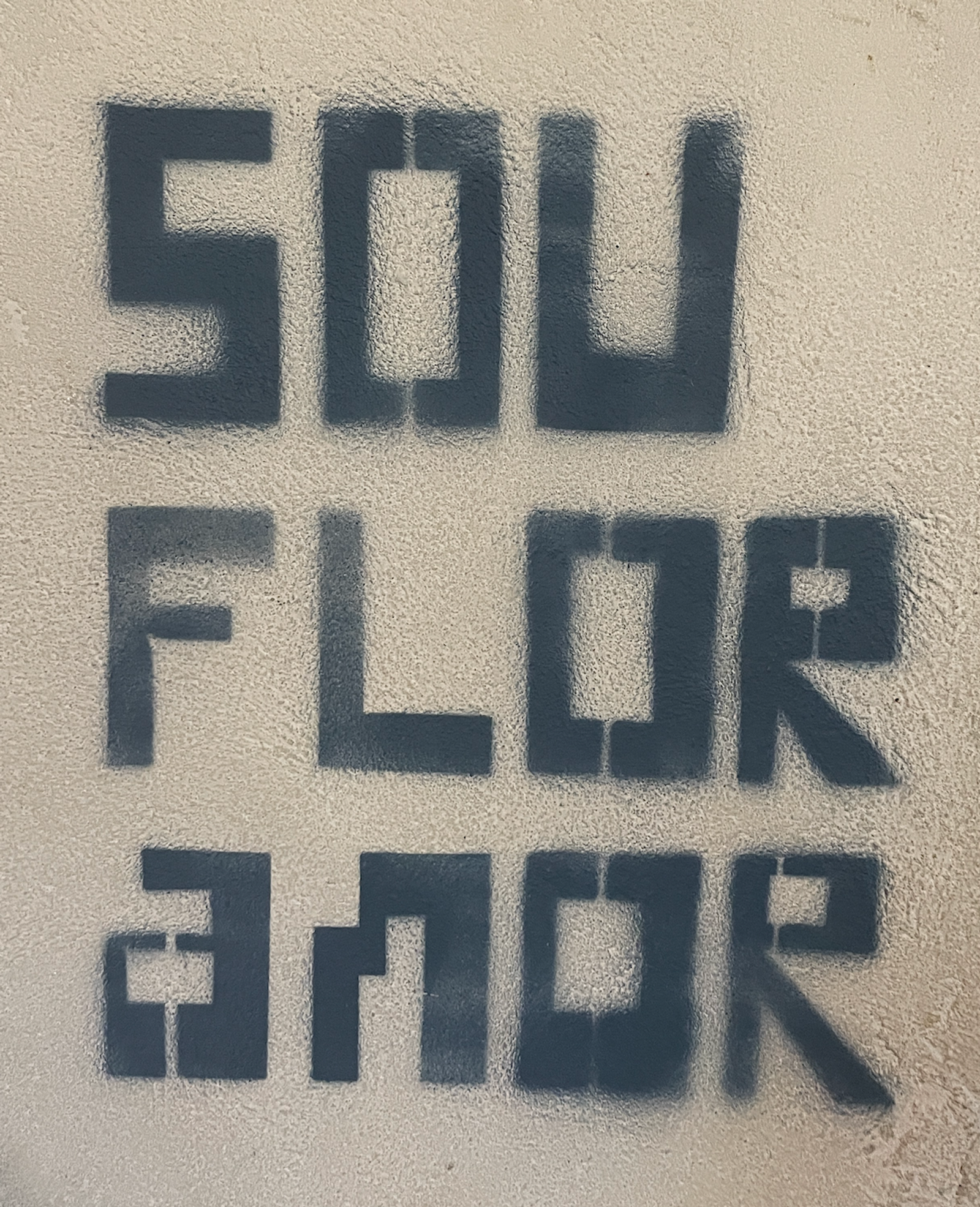 Sou Flor Amor